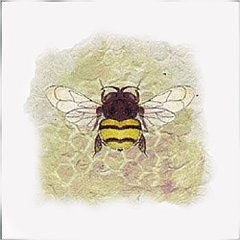 Bumble Bee 1